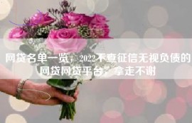网贷名单一览，2022不查征信无视负债的网贷网贷平台，拿走不谢