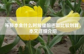 等额本金什么时候提前还款比较划算，本文详细介绍