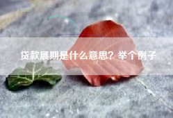 贷款展期是什么意思？举个例子