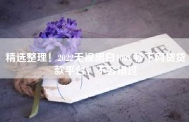 精选整理！2022无视黑白100%秒下网贷贷款平台，不容错过