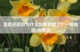 贷款还款后为什么没有额度了？一般有这5点原因
