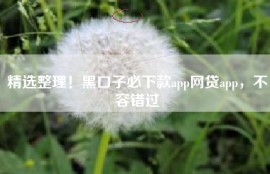 精选整理！黑口子必下款app网贷app，不容错过