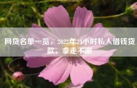网贷名单一览，2022年24小时私人借钱贷款，拿走不谢