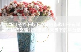 2022新口子秒下款不查征信借款口子有哪些？精选整理分享借款14天包下的平台借款软件
