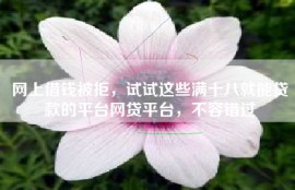 网上借钱被拒，试试这些满十八就能贷款的平台网贷平台，不容错过