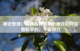 精选整理！负债高有逾期必通过的网贷借款平台，不容错过