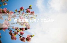 滴滴金融下架了怎么还款