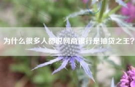 为什么很多人都说网商银行是抽贷之王？