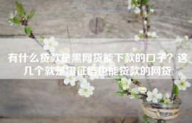 有什么贷款是黑网贷能下款的口子？这几个就是黑征信也能贷款的网贷