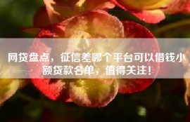 网贷盘点，征信差哪个平台可以借钱小额贷款名单，值得关注！
