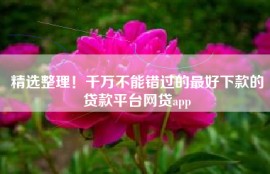 精选整理！千万不能错过的最好下款的贷款平台网贷app