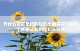 有什么贷款是秒到账的小额贷款？这几个就是正规的纯私人放款