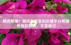 精选整理！借钱利息低的正规平台有哪些借款软件，不容错过