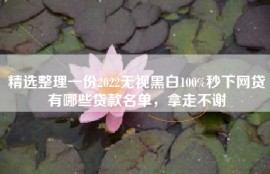 精选整理一份2022无视黑白100%秒下网贷有哪些贷款名单，拿走不谢