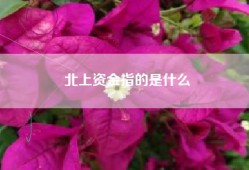 北上资金指的是什么