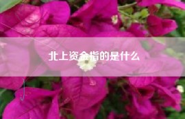 北上资金指的是什么