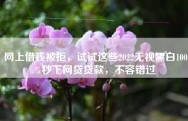 网上借钱被拒，试试这些2022无视黑白100%秒下网贷贷款，不容错过