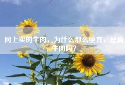 网上卖的牛肉，为什么那么便宜，是真牛肉吗？