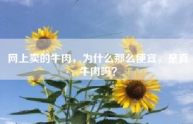 网上卖的牛肉，为什么那么便宜，是真牛肉吗？