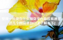 整理一份现在什么网贷平台最容易通过，这几个网贷平台口子了解一下！