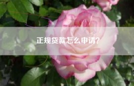 正规贷款怎么申请？
