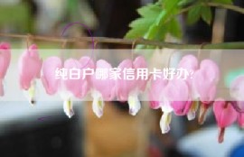 纯白户哪家信用卡好办?