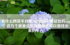 有什么网贷平台是2022借钱不看征信的app？这几个就是征信有问题还可以借钱出来的平台