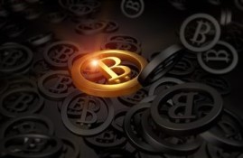 网上的垫资网贷养征信怎么样？来看看是机遇还是陷阱