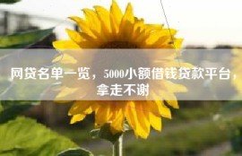 网贷名单一览，5000小额借钱贷款平台，拿走不谢