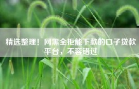 精选整理！网黑全拒能下款的口子贷款平台，不容错过