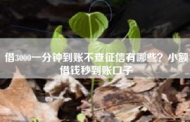 借3000一分钟到账不查征信有哪些？小额借钱秒到账口子