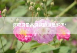 微粒贷最高贷款额度是多少?