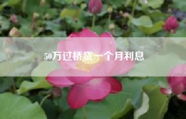 50万过桥贷一个月利息