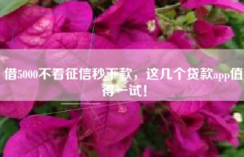 借5000不看征信秒下款，这几个贷款app值得一试！