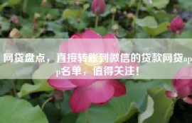 网贷盘点，直接转账到微信的贷款网贷app名单，值得关注！