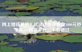 网上借钱被拒，试试这些小额度1000元秒下款app网贷平台，不容错过