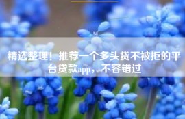 精选整理！推荐一个多头贷不被拒的平台贷款app，不容错过