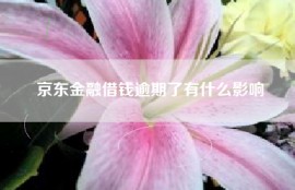 京东金融借钱逾期了有什么影响