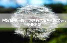 网贷名单一览，小额贷款借1000贷款app，拿走不谢
