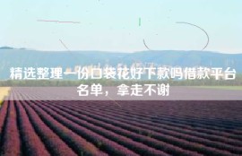 精选整理一份口袋花好下款吗借款平台名单，拿走不谢