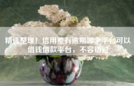 精选整理！信用差有逾期哪个平台可以借钱借款平台，不容错过