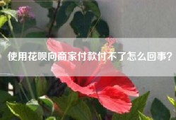使用花呗向商家付款付不了怎么回事？