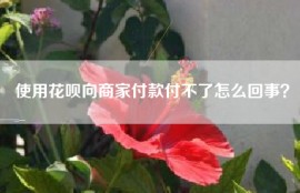 使用花呗向商家付款付不了怎么回事？