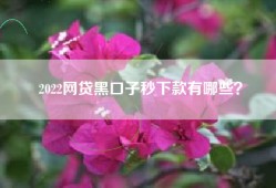 2022网贷黑口子秒下款有哪些？