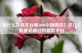 有什么贷款平台是5000小额借钱？这几个就是必通过的借款平台