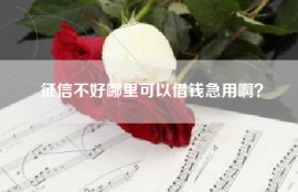 征信不好哪里可以借钱急用啊？