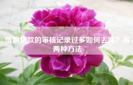 信用贷款的审核记录过多如何去除？有两种方法