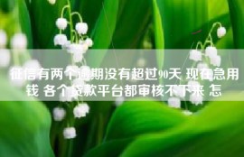 征信有两个逾期没有超过90天 现在急用钱 各个贷款平台都审核不下来 怎