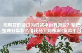 随时贷好通过吗借款平台有哪些？精选整理分享怎么借钱马上到账5000贷款平台