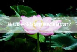 纯公积金贷款需要查配偶征信吗？